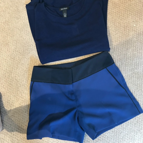 The Limited Pants - Limited royal/navy blue dress shorts